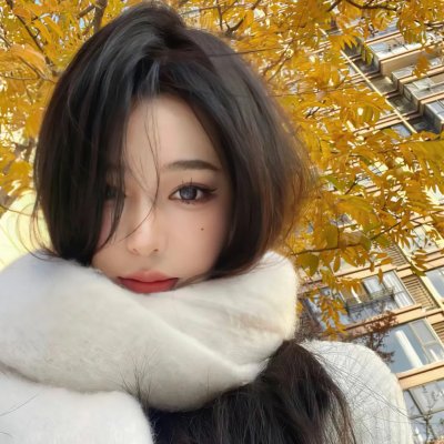 迷失的大洲