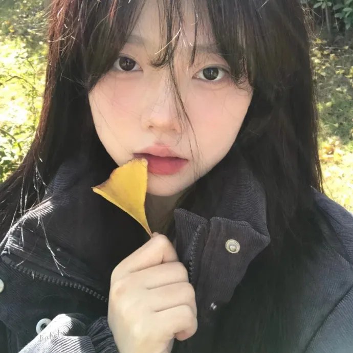 凤凰号